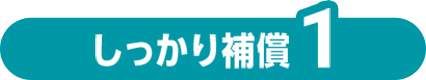 しっかり補償１